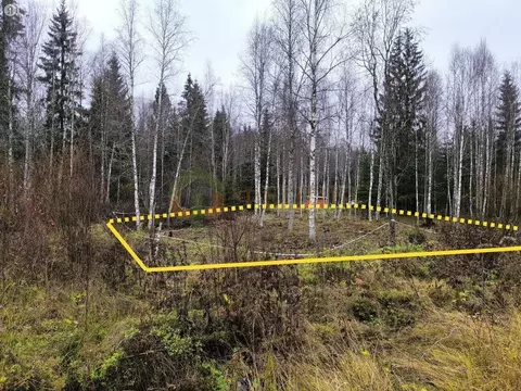 Участок в Выборгский район, посёлок Поляны (12.15 м)