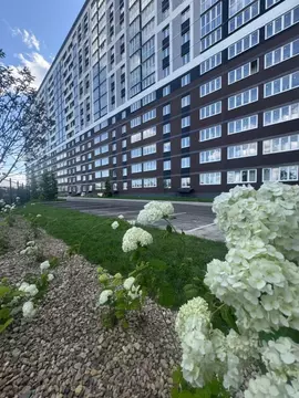 1-к кв. Брянская область, Брянск просп. Станке Димитрова, 67к7 (39.03 ...