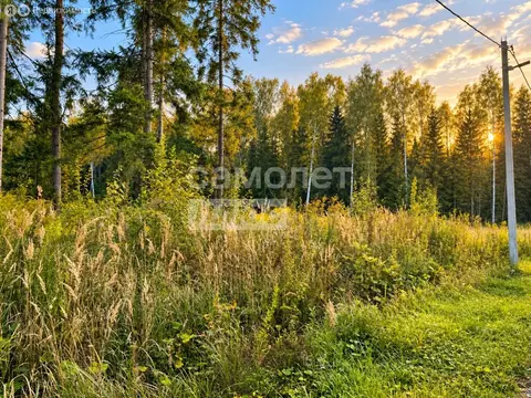 Участок в Балабаново, Осенняя улица (15 м)