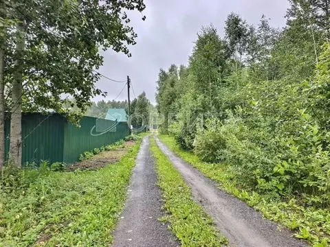 Участок в Тюменская область, Нижнетавдинский муниципальный округ, ...