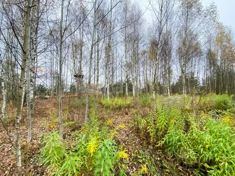 Участок в Ярославская область, Рыбинский муниципальный округ, д. ...