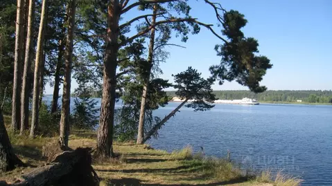 Участок в Ярославская область, Мышкинский район, Охотинское с/пос, д. ...