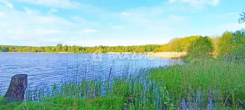 Участок в Калининградская область, Зеленоградский муниципальный округ, ...