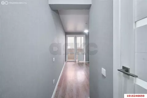 1-комнатная квартира: Краснодар, жилой массив имени Демьяна Бедного, ...