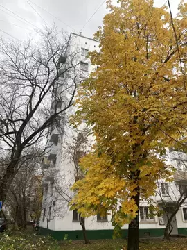 2-к кв. Москва Мирской пер., 3 (38.0 м)