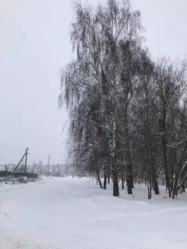 Участок в Тульская область, Заокский район, пос. Сосновый  (12.0 сот.)