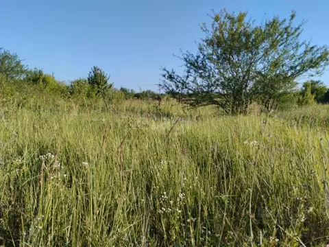 Участок в Белгородская область, Белгород Юго-Западный-2.2 мкр, пер. ...