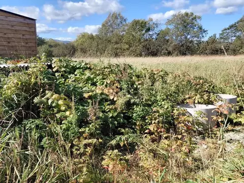 Участок в Сахалинская область, Южно-Сахалинск  (98.81 сот.)