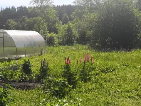 Участок в Свердловская область, Первоуральск городской округ, пос. ...