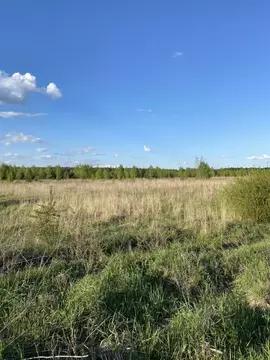 Участок в Нижегородская область, Бор Микрорайон Шерстнево Поле,  (8.0 ...