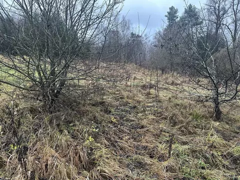 Участок в Московская область, Ступино городской округ, д. Калянино  ...