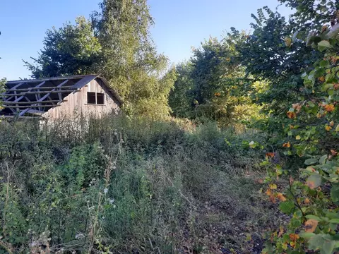 Участок в Саратовская область, Базарно-Карабулакский район, ...