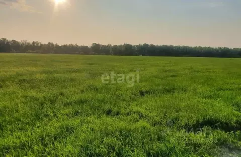 Участок в Волгоградская область, Городищенский район, Вертячинское ...
