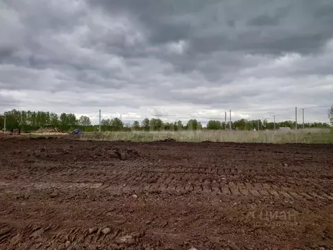 Участок в Томская область, Томский район, д. Новомихайловка, Кедры ДНП ...