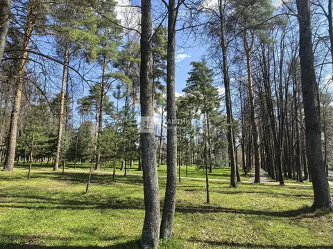 Продается участок в д. Спасское
