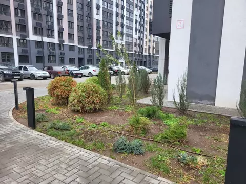 Студия Саратовская область, Энгельс ул. Марины Расковой, 7 (27.0 м)