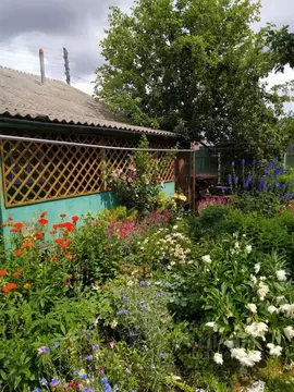 Дом в Тамбовская область, Тамбов Фестивальное СНТ,  (26 м)