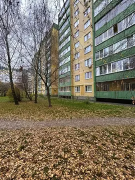 2-к кв. Курская область, Курск ул. Бойцов 9-й Дивизии, 187 (50.2 м)