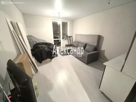 Квартира-студия: Янино-1, Заводская улица, 18к2 (22.7 м)