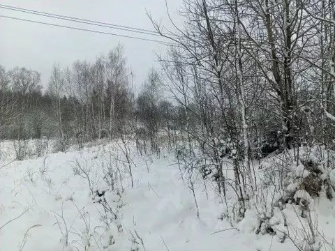 Участок в Московская область, Чехов муниципальный округ, д. Голыгино  ...