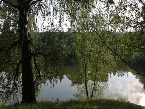 Участок в Московская область, Домодедово Фламандия кп, ул. 7-я (10.0 ...