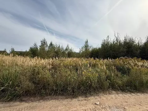 Участок в Московская область, Подольск городской округ, д. Булатово  ...