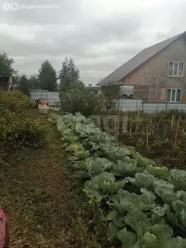 Участок в Новосибирск, территория садоводческого товарищества ...