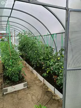 Дом в Зубарева, Центральная улица, 13 (138.6 м)