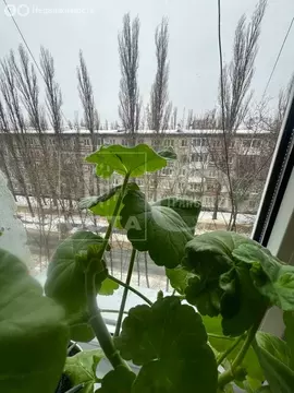 1-комнатная квартира: Воронеж, Волго-Донская улица, 11 (31 м)