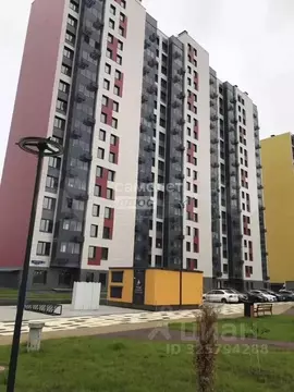 Студия Московская область, Домодедово городской округ, с. Домодедово ...