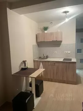 1-к кв. Москва Рябиновая ул., 45К2 (25.0 м)