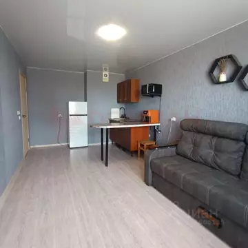 Студия Ростовская область, Ростов-на-Дону ул. Тимофеева, 9 (24.9 м)