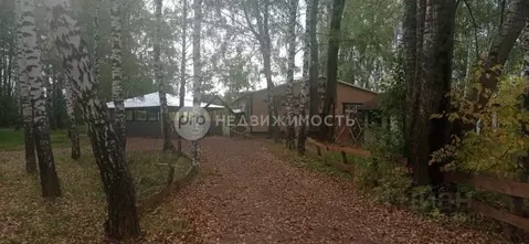 Торговая площадь в Рязанская область, Рыбное Новосельская ул., 20 (96 ...