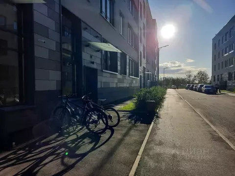 Студия Санкт-Петербург просп. Буденного, 13 (27.5 м)