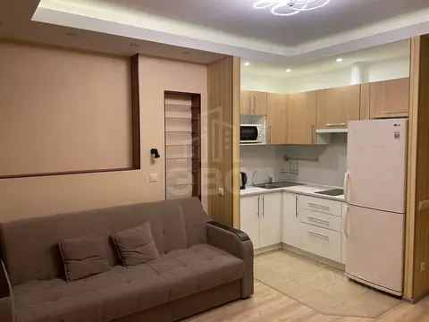 Студия Санкт-Петербург Ушаковская наб., 3к2 (27.0 м)