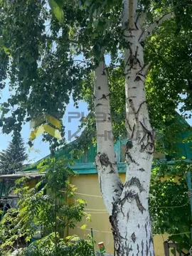 Дом в Омская область, Омск СОСН Энергетик-1 тер., аллея 3-я (60 м)