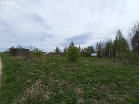 Участок в Вологодская область, Шекснинский муниципальный округ, ...