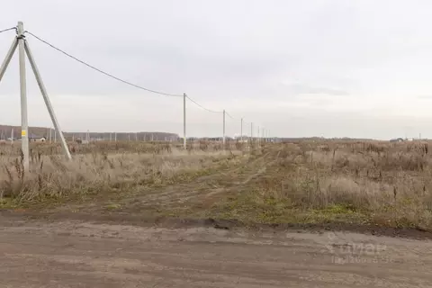 Участок в Тюменская область, Тюменский муниципальный округ, д. Большие ...