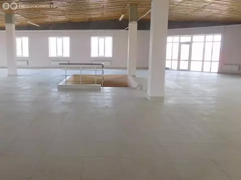 Торговая площадь (250 м)