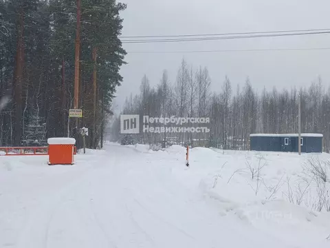 Участок в Ленинградская область, Всеволожский район, Колтушское ...