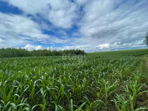 Участок в Брянская область, Брянский район, Добрунское с/пос, с. ...