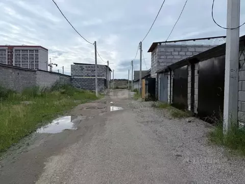 Участок в Амурская область, Благовещенский район, с. Чигири, Тепличный ...