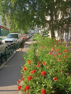 3-к кв. Алтайский край, Барнаул ул. Панфиловцев, 20 (62.0 м)