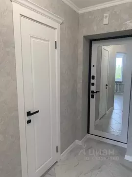1-к кв. Санкт-Петербург просп. Ветеранов, 141к1 (29.1 м)