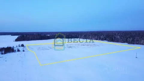 Участок в Ленинградская область, Волосовский район, Клопицкое с/пос, ...