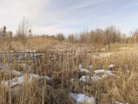 Участок в Саратовская область, Балашов Нефтяная ул. (9.3 сот.)