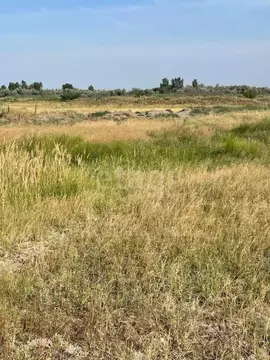 Участок в Ростовская область, Азовский район, Елизаветинское с/пос, ...