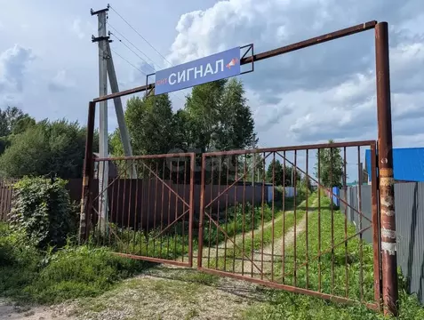 Участок в Новосибирская область, Коченевский район, Сигнал СТ ул. ...