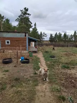 Дом в Бурятия, Тарбагатайский район, Заводское с/пос, пос. ...