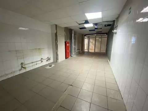 Помещение свободного назначения в Санкт-Петербург просп. Ветеранов, ...